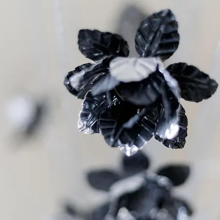 Apartment Calvin House *