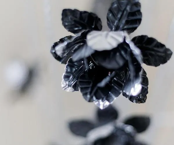 Apartment Calvin House *